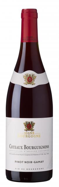 Signé Bourgogne Coteaux Bourguignons Pinot Noir - Gamay
