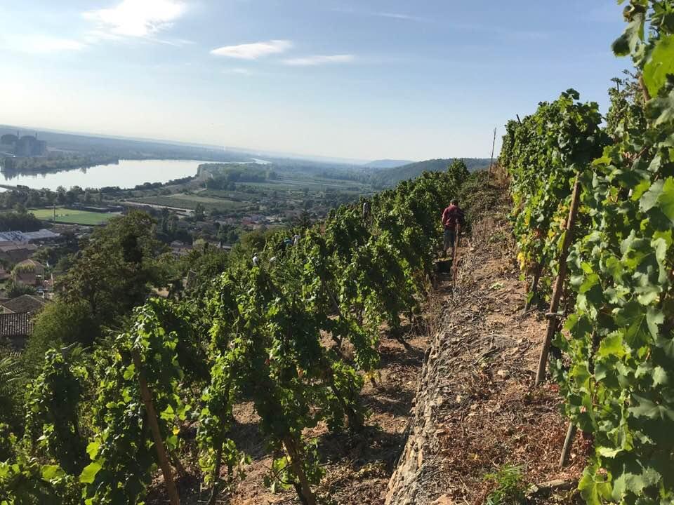 jeantet laurent 1544718702