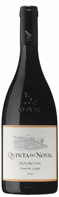 Quinta do Noval Tinto Cão, 2022