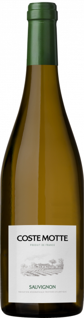Coste Motte, Sauvignon Blanc, IGP Atlantique, Blanc, 2024