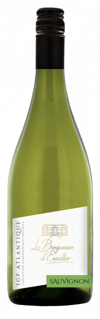 Benjamin d'Excellor, IGP Atlantique, Blanc, 2024