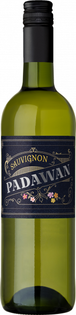 Padawan, Sauvignon, Vin de France, Blanc, 2024