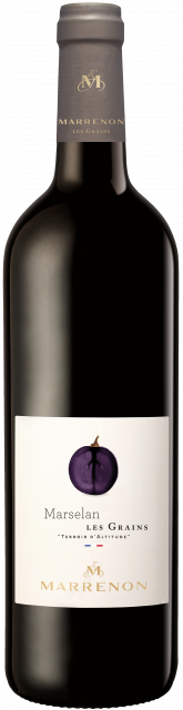 MARRENON, Les Cépages, Les Grains | Marselan 2022
