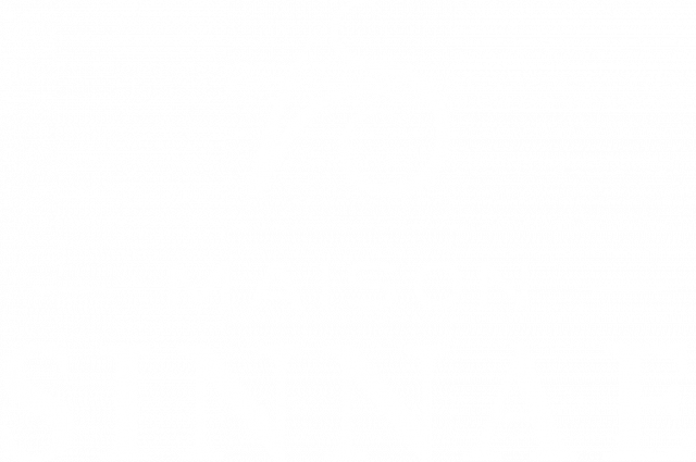 Logo Maison Sinnae