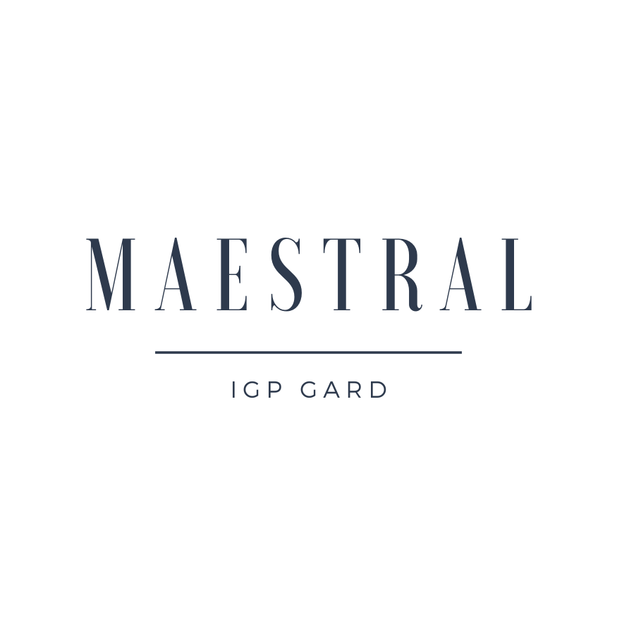 Logo Maestral