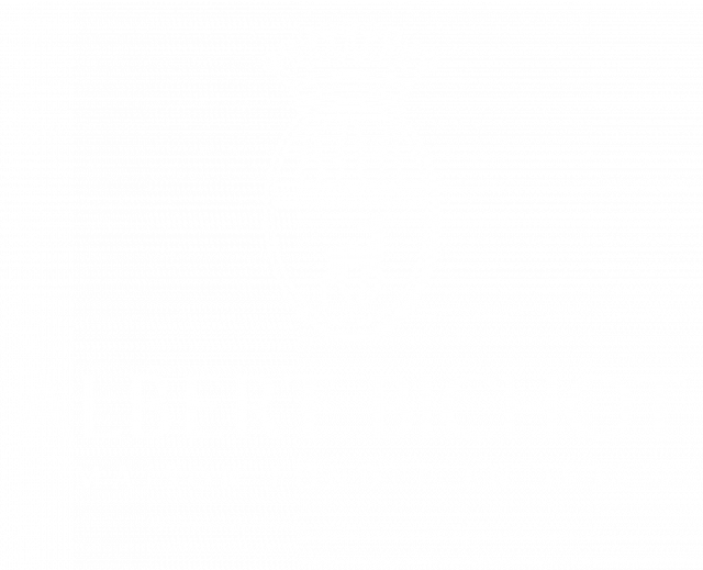 Logo Domaines Albert Bichot
