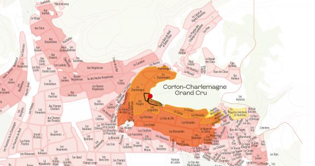 vinco mockup map CORTON CHARLEMAGNE 2560x1350