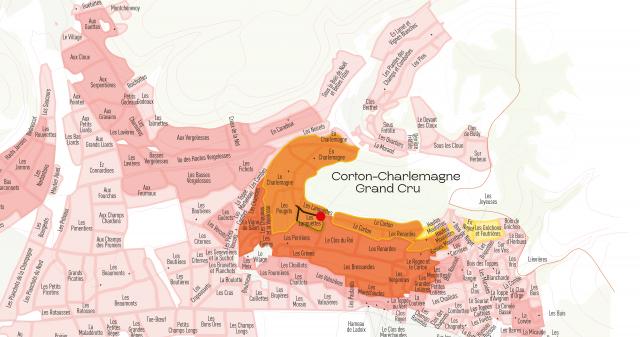 vinco mockup map CORTON CHARLEMAGNE 2560x1350 V2