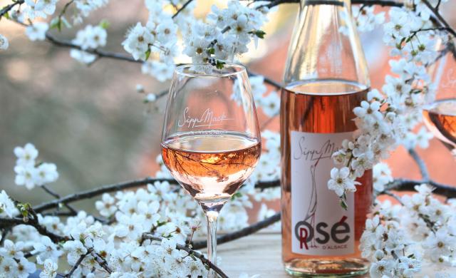 Rosé and cherry blossoms