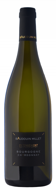 Domaine Baudouin Millet, AOC Bourgogne, White