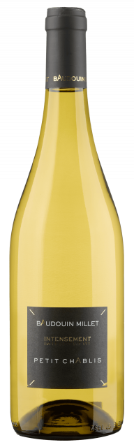 Domaine Baudouin Millet, AOP Petit Chablis, White