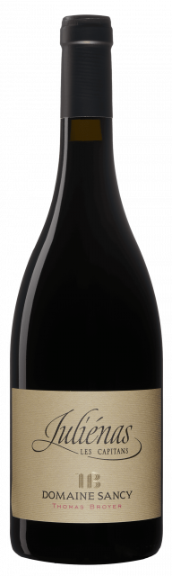 Domaine Sancy, AOC Juliénas, Les Capitans, Red