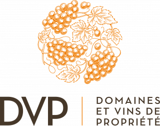 Logo DVP - Loire