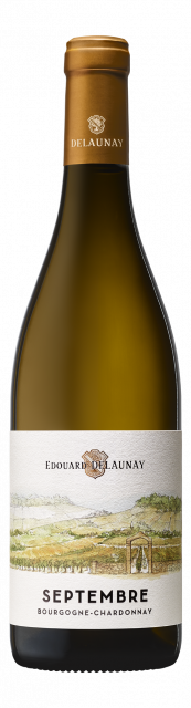 Edouard Delaunay, Les Régionales, Septembre, AOP Bourgogne, Blanc, 2024
