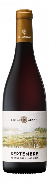 Edouard Delaunay, Les Régionales, Septembre, AOP Bourgogne, Rouge, 2023