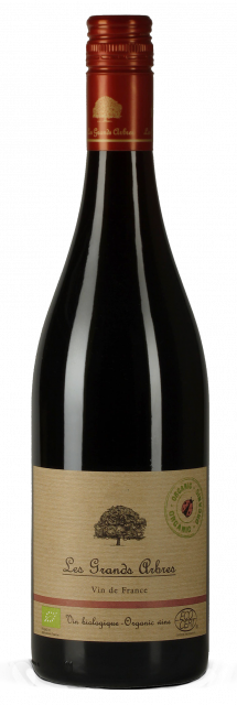 Les Grands Arbres, Rouge, 2025, Vis