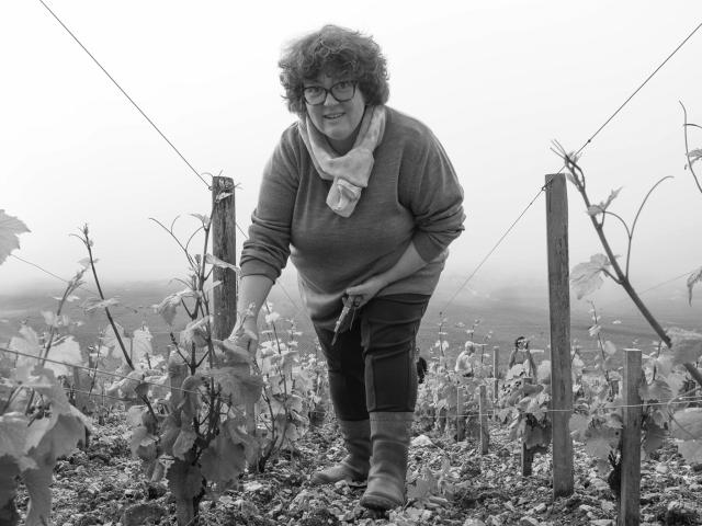 Domaine Alain Michelot