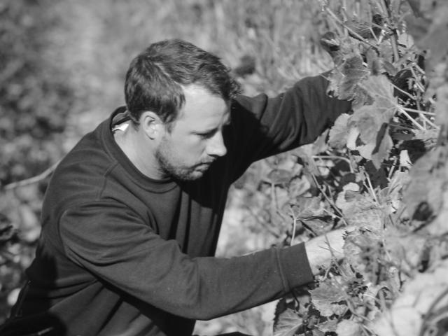 Champagne Christian Diligent