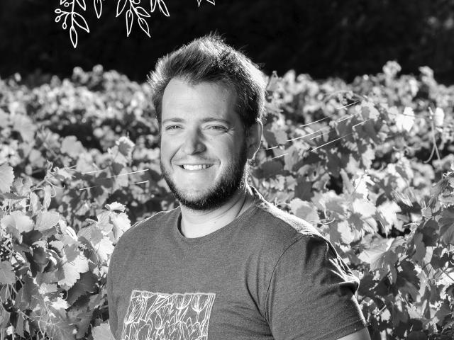 Domaine De L'Argenteille