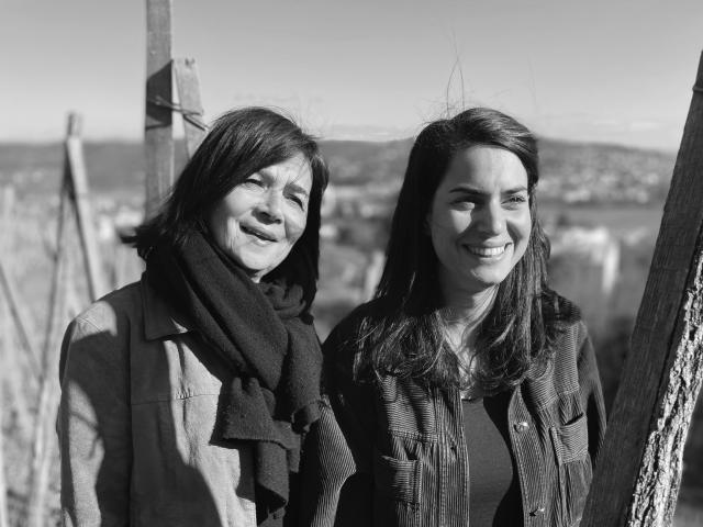 Domaine Georges Vernay 