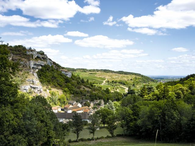 Vineyard - Edouard Delaunay Saint Romain Le Village