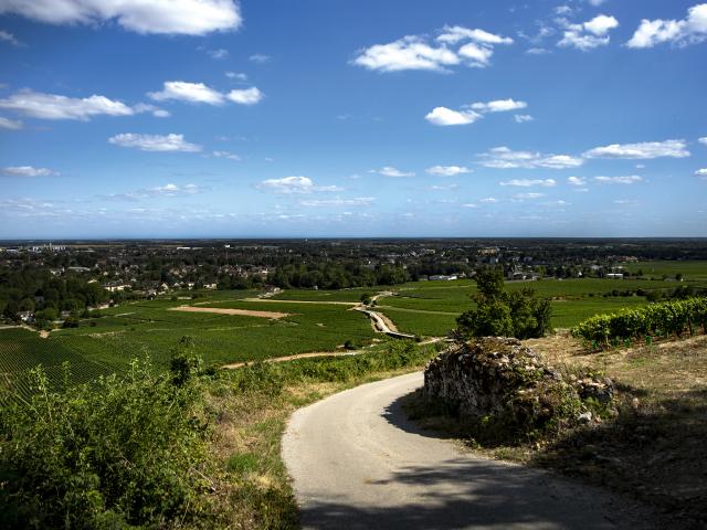 Vineyard - Edouard Delaunay Hospices de Beaune, Beaune 1er Cru Cuvée Rousseau Deslandes