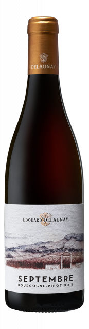 Edouard Delaunay, Septembre, Bourgogne, Rouge, 2023