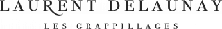 Logo Laurent Delaunay