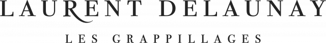 Logo Laurent Delaunay