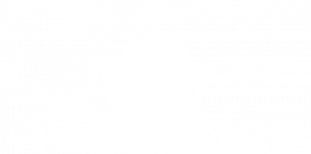 Logo A.H. Riise
