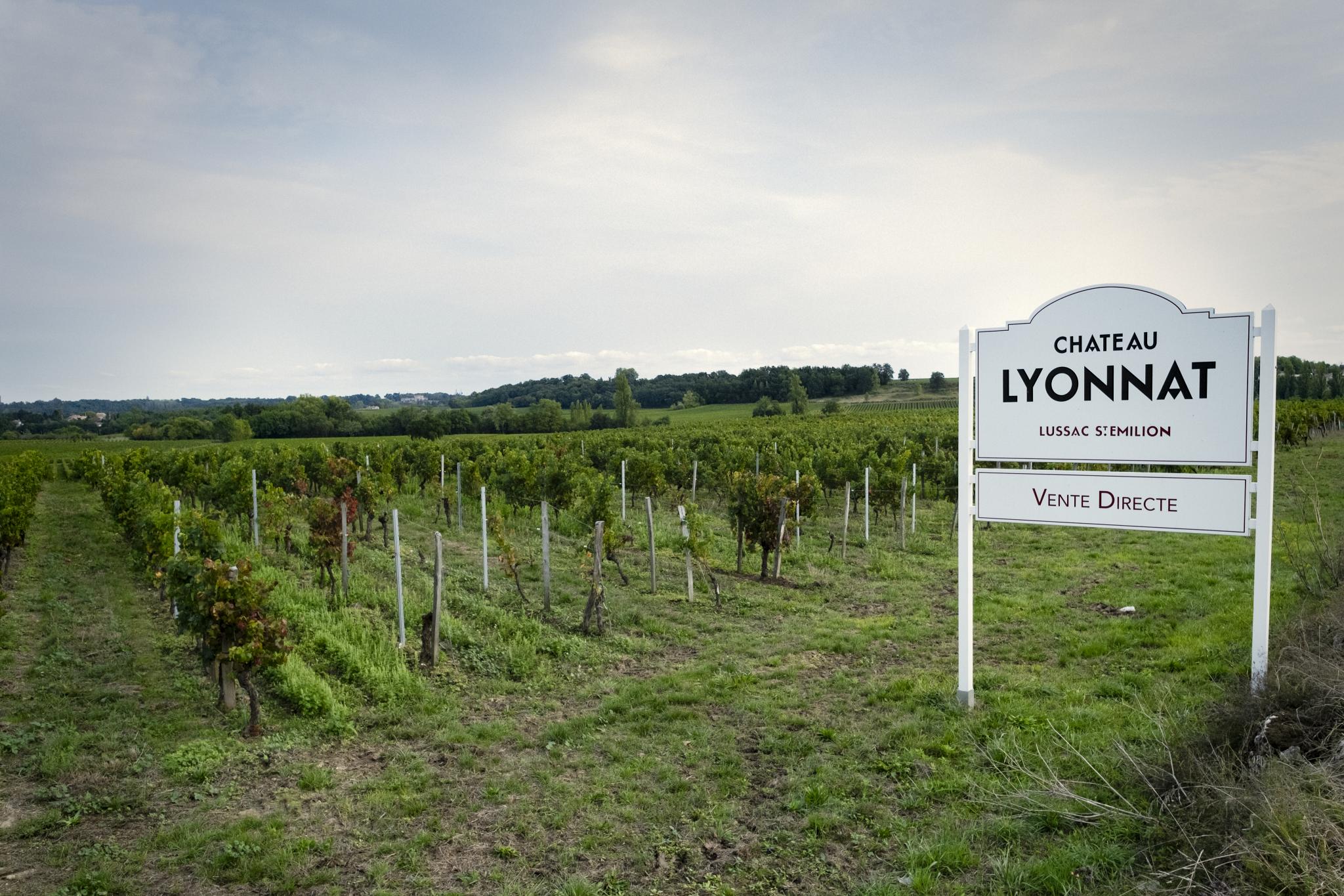 Château Lyonnat