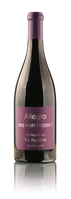 Loire, Domaine la Paleine, Allegro Ma Non Troppo, AOC Saumur Puy-Notre-Dame, Rouge