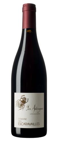 Southern Rhône, Domaine des Escaravailles, Les Antimagnes, AOC Côtes du Rhône, Rouge