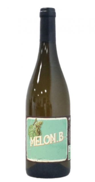 Loire, Voyage dans les vignes, Melon, Vin de France, Blanc