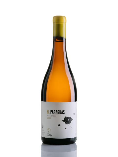 Spain, Bodegas El Paraguas, Atlantico, Ribera del Duero, Espagne, Blanc