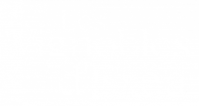 Logo Les Vignobles d'Exéa
