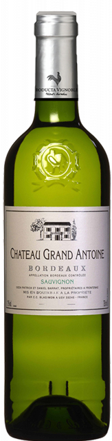 Château Grand Antoine - Bordeaux Blanc