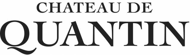 Château de Quantin