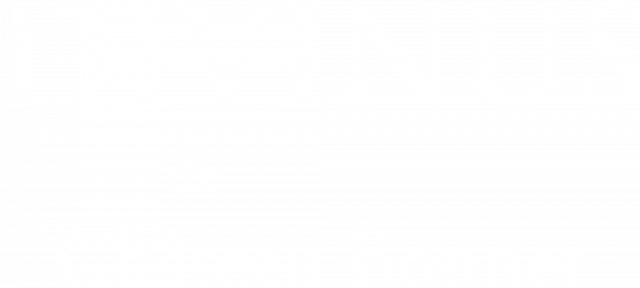 Logo Divinus de Château Bonnet