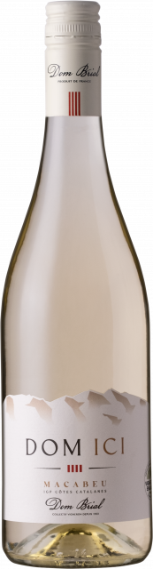DOM ICI Blanc, 2025