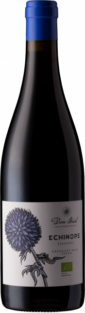Dom Brial, ECHINOPS Rouge, 2024