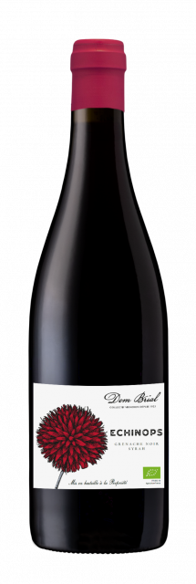 ECHINOPS, Rouge 2025