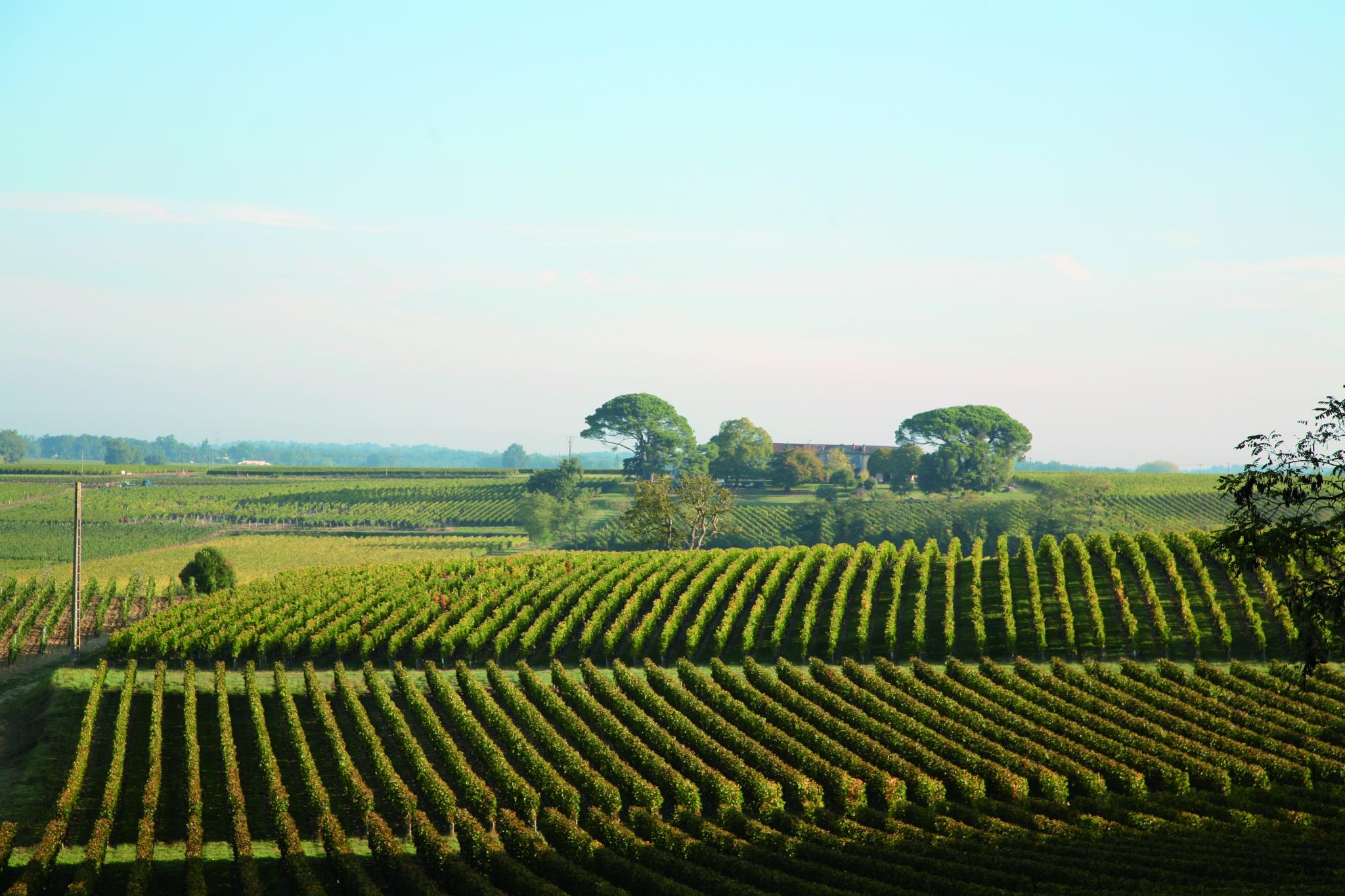 A commitment to the environment