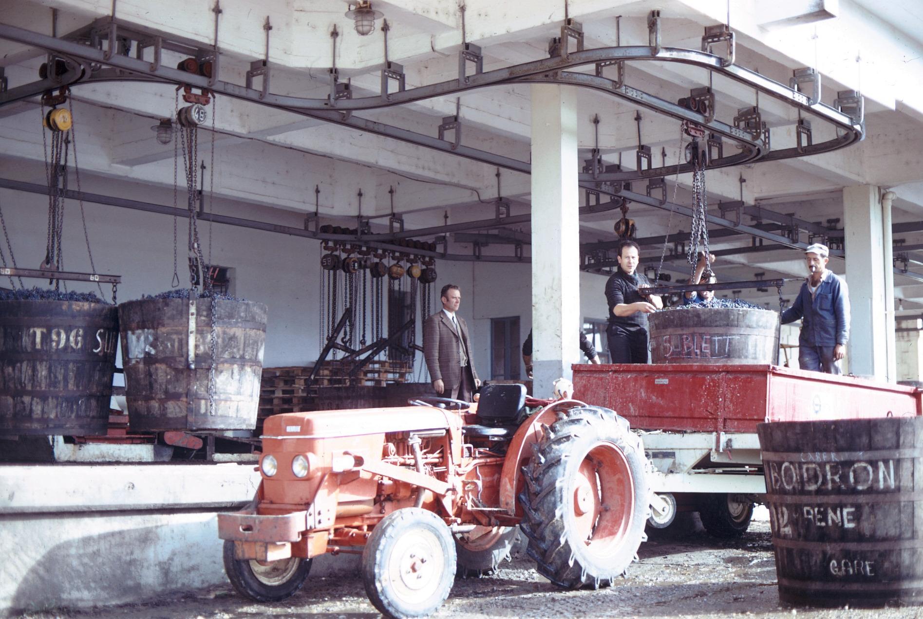 A world in constant evolution