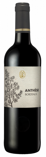 ANTHESE BORDEAUX
