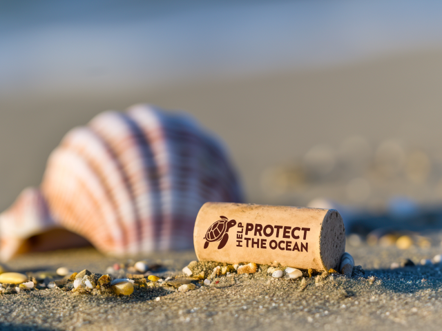 bouchon help protect the ocean
