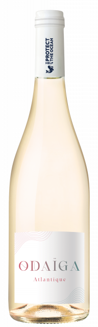 ODAIGA, Help Protect The Ocean, IGP Atlantique, Blanc, 2024