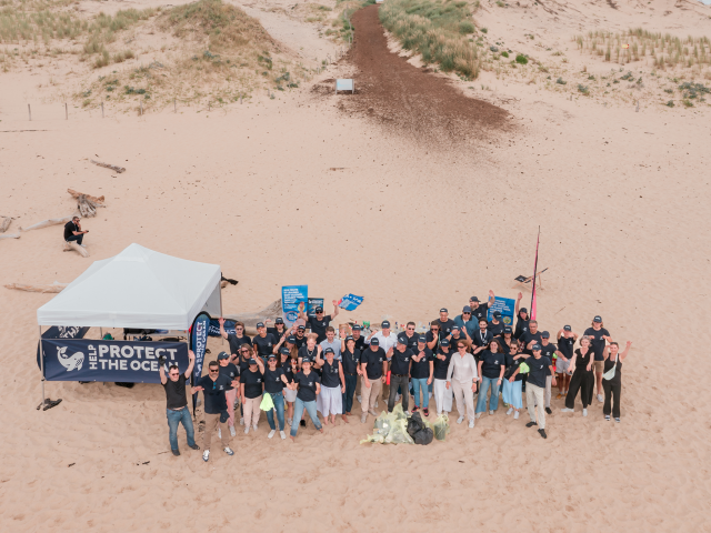 team help protect the ocean