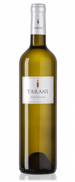 Tarani Blanc avec reflet