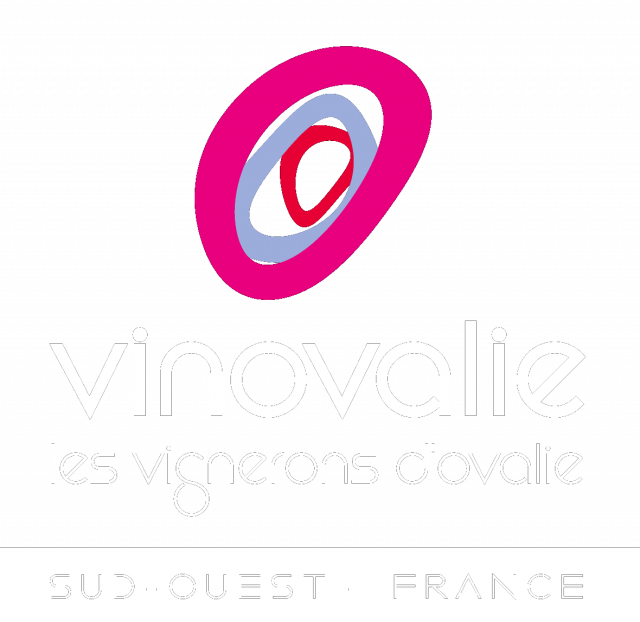 Logo Vinovalie